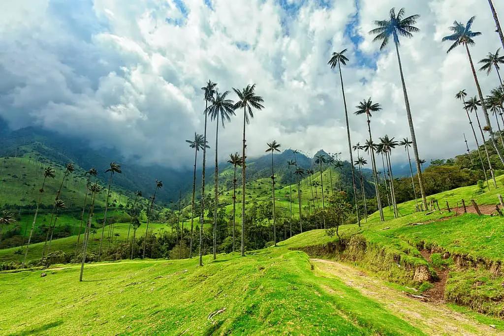 Coffee Regions of Colombia