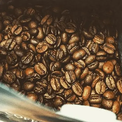 oily Coffee beans