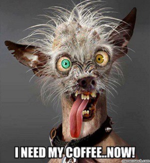 funny morning coffee meme