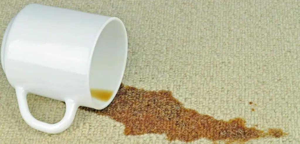 Coffee Stain Carpet
